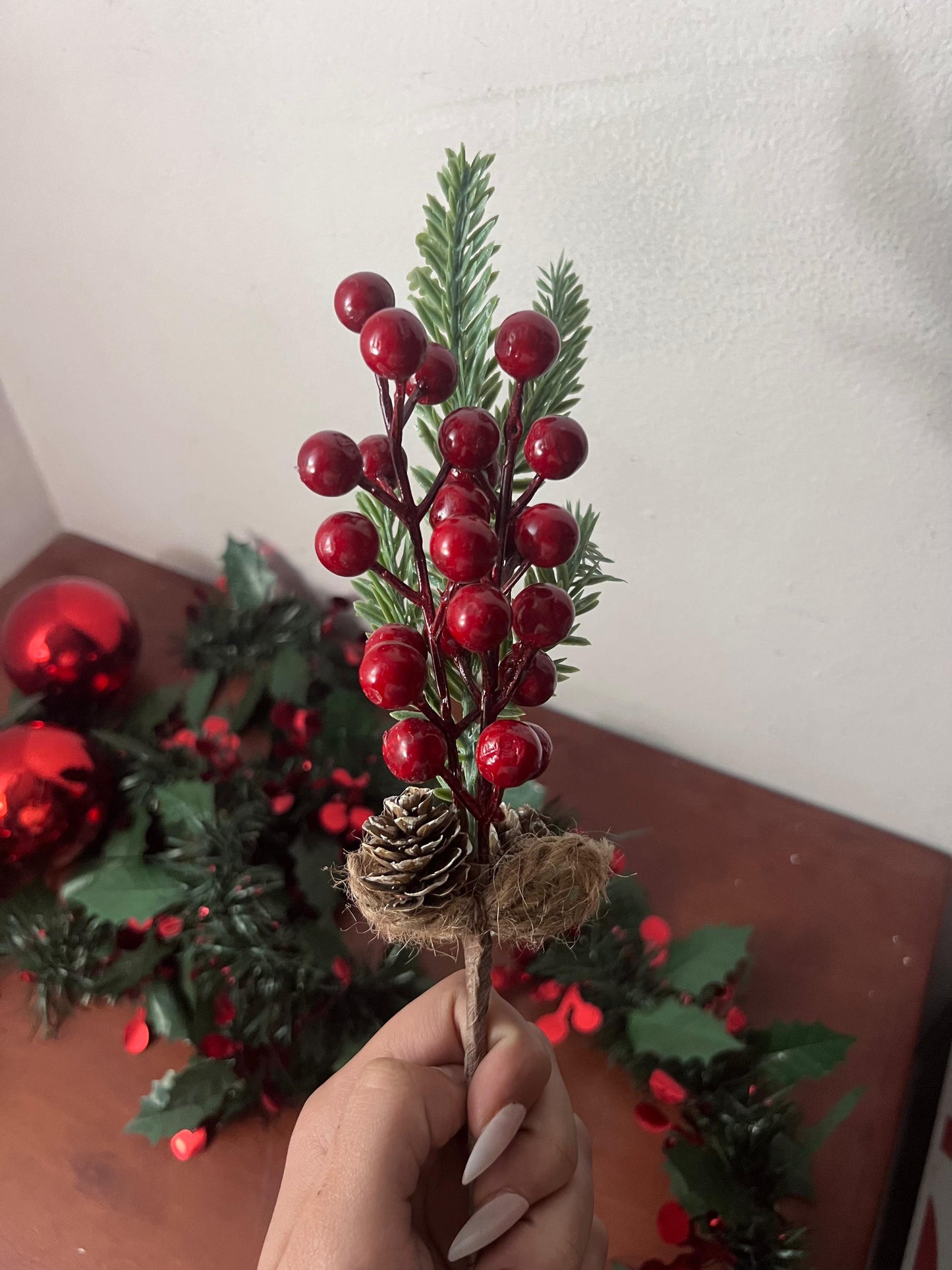 Christmas Berry