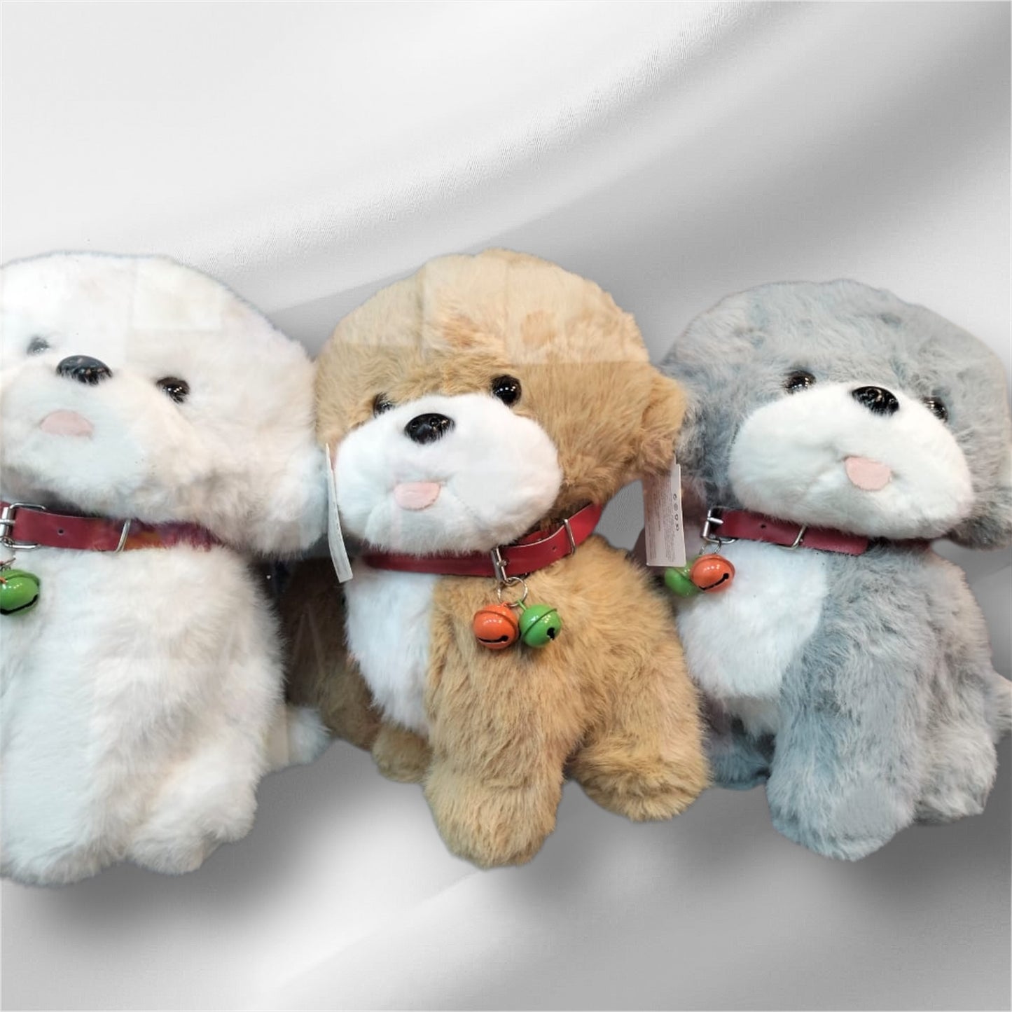 Cutie teddy