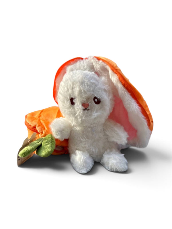 Rabbit in orange carrot