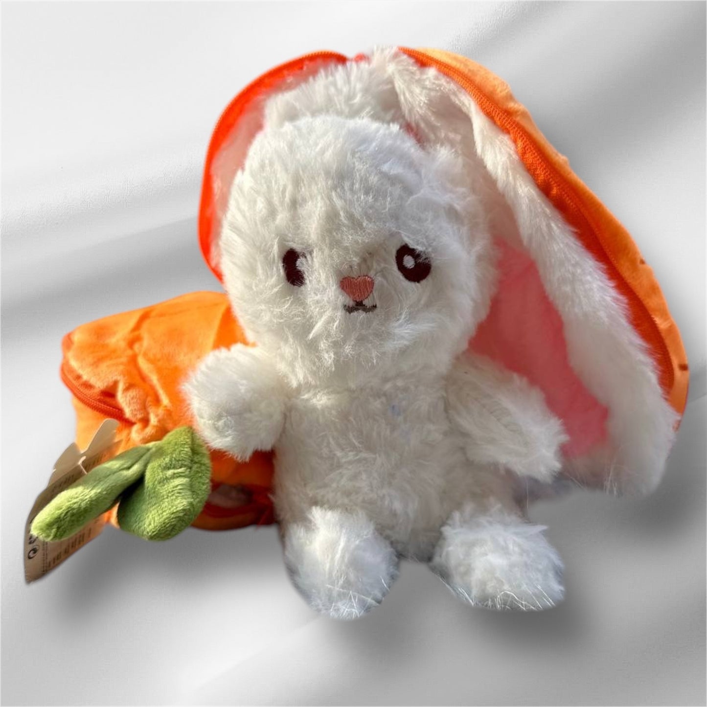 Rabbit in orange carrot