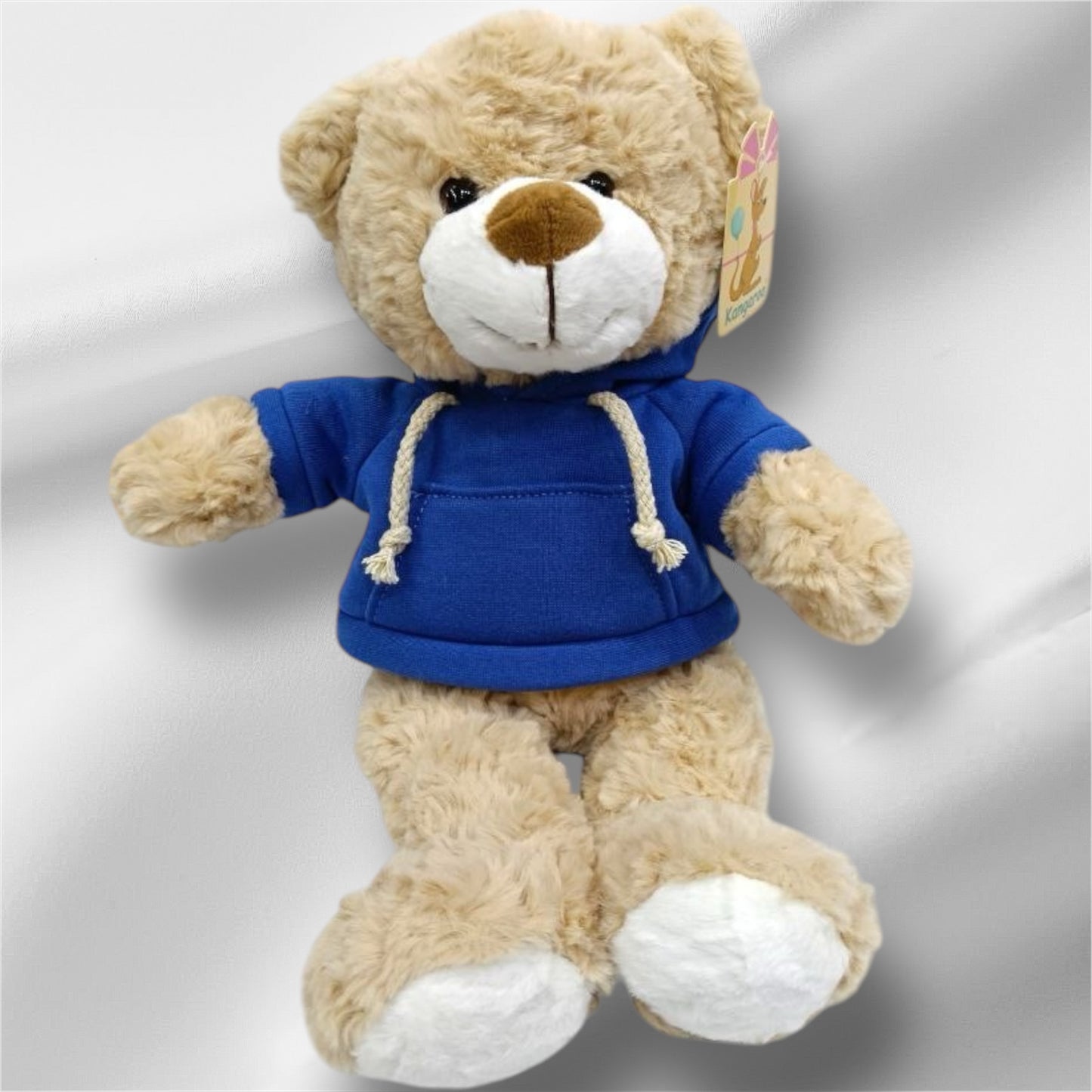 TEDDY BEAR With Hoodie