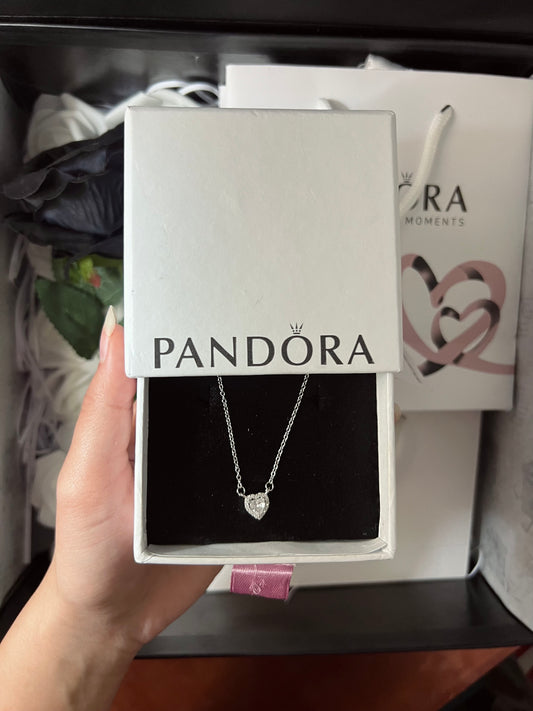 SILVER PANDORA
