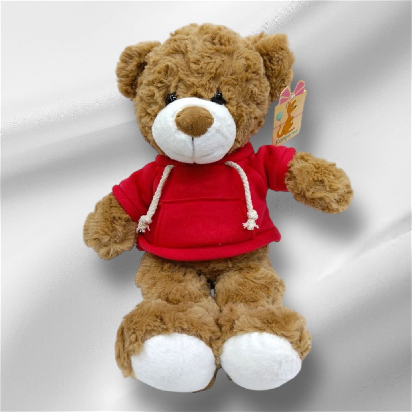 TEDDY BEAR With Hoodie