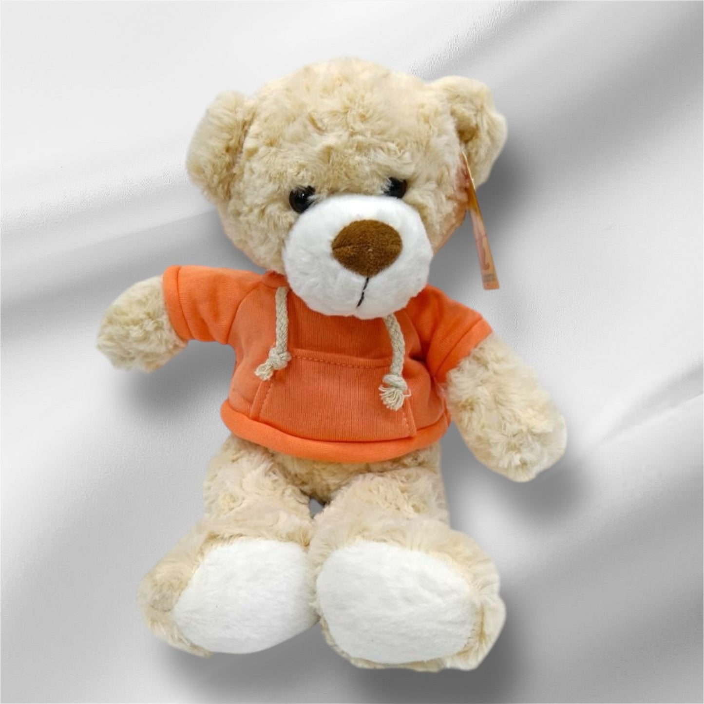 TEDDY BEAR With Hoodie